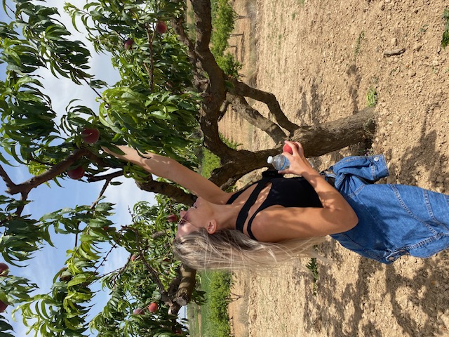 Peaches & Cava Rosé - Land Rover Harvest Experience - seasonal wine tour in Penedès