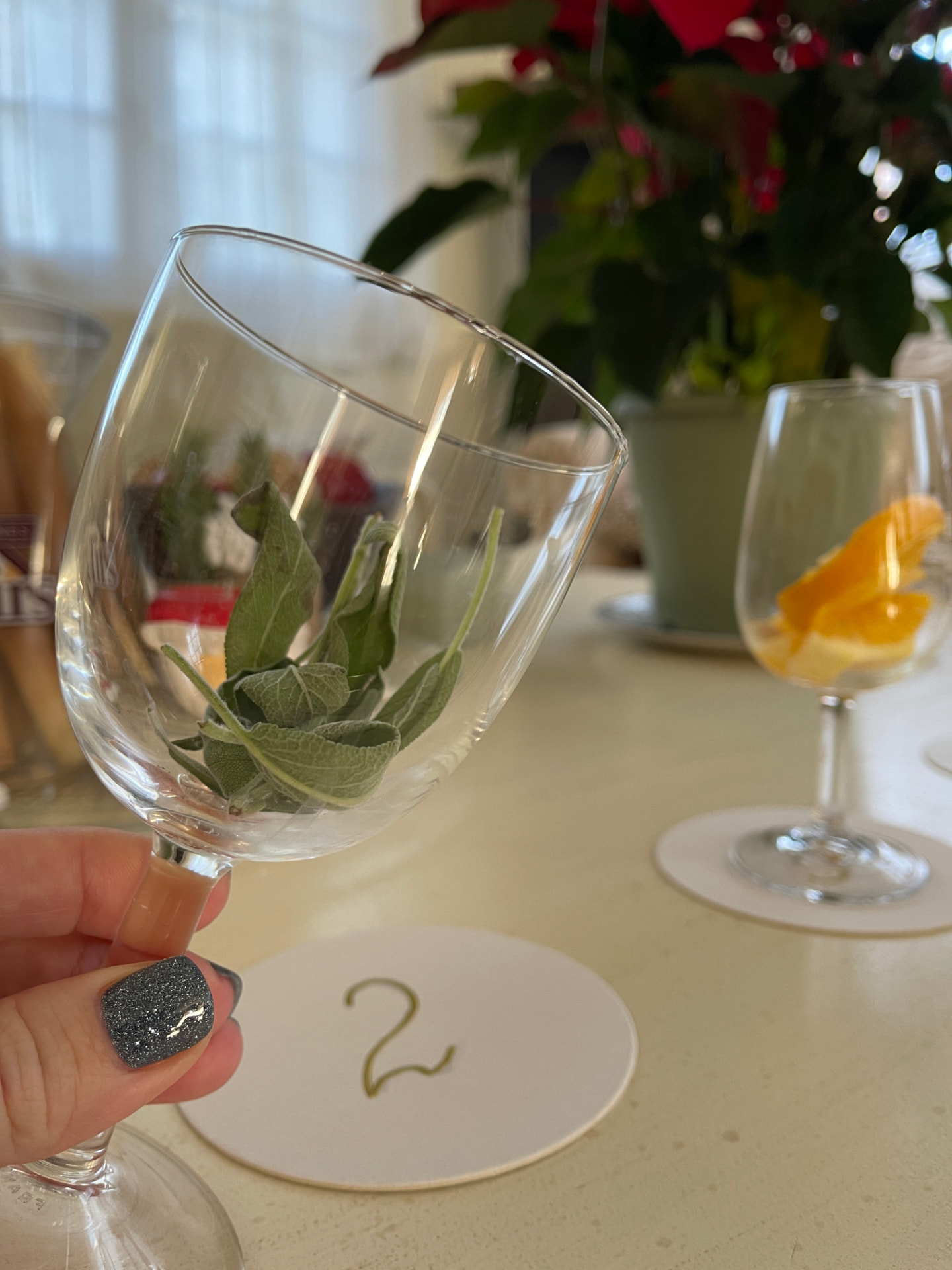 Sensory aroma identification exercise with wine glasses and fresh herbs during a private wine tasting led by a WSET Level 3 certified Cava expert and private wine guide