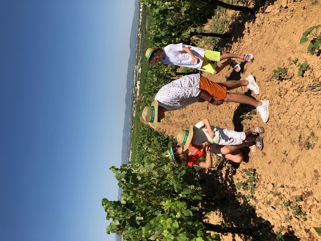 Pouring local Catalan wine in the vineyard