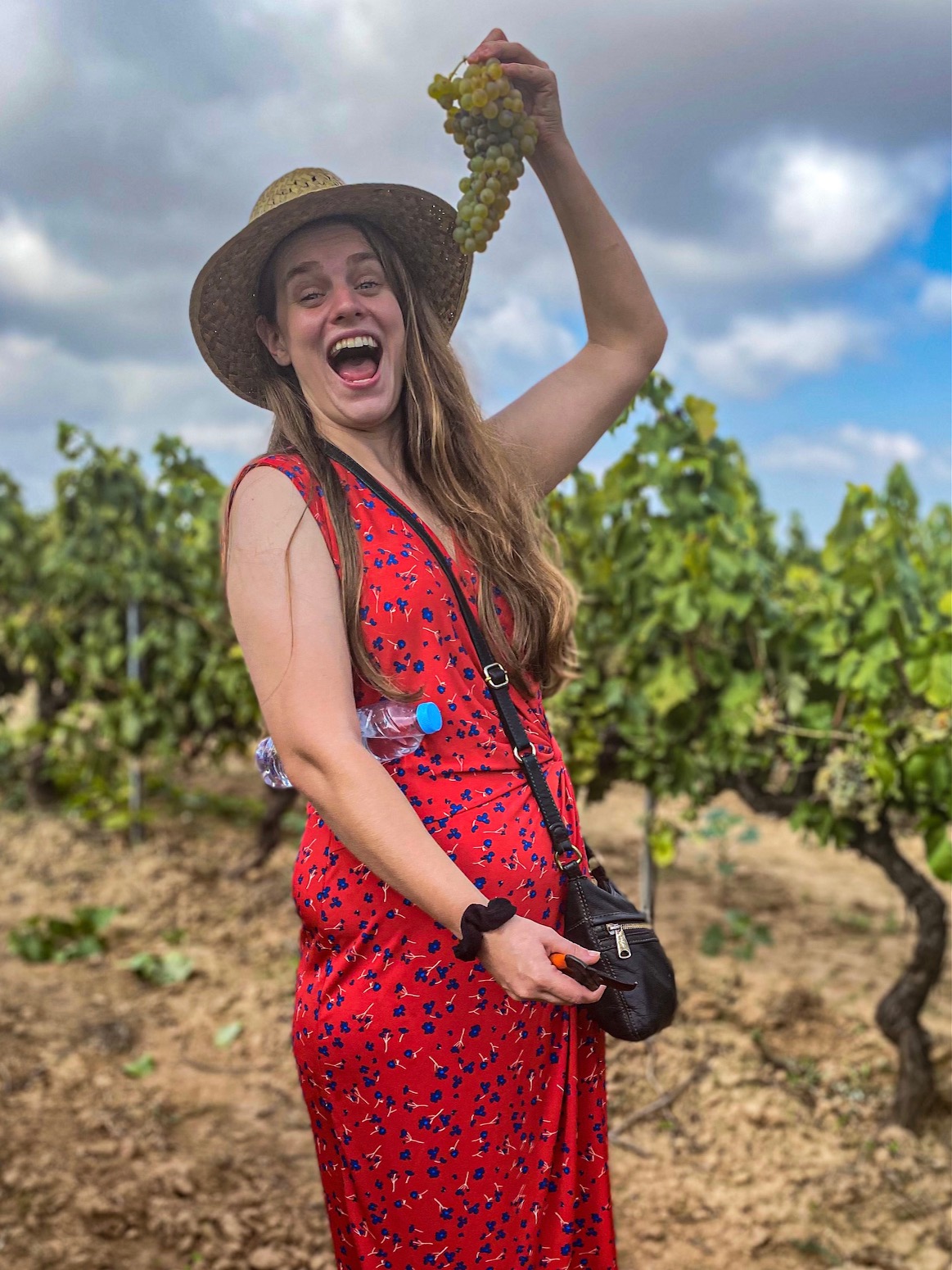 Harvest day — guest holding a bunch of grapes