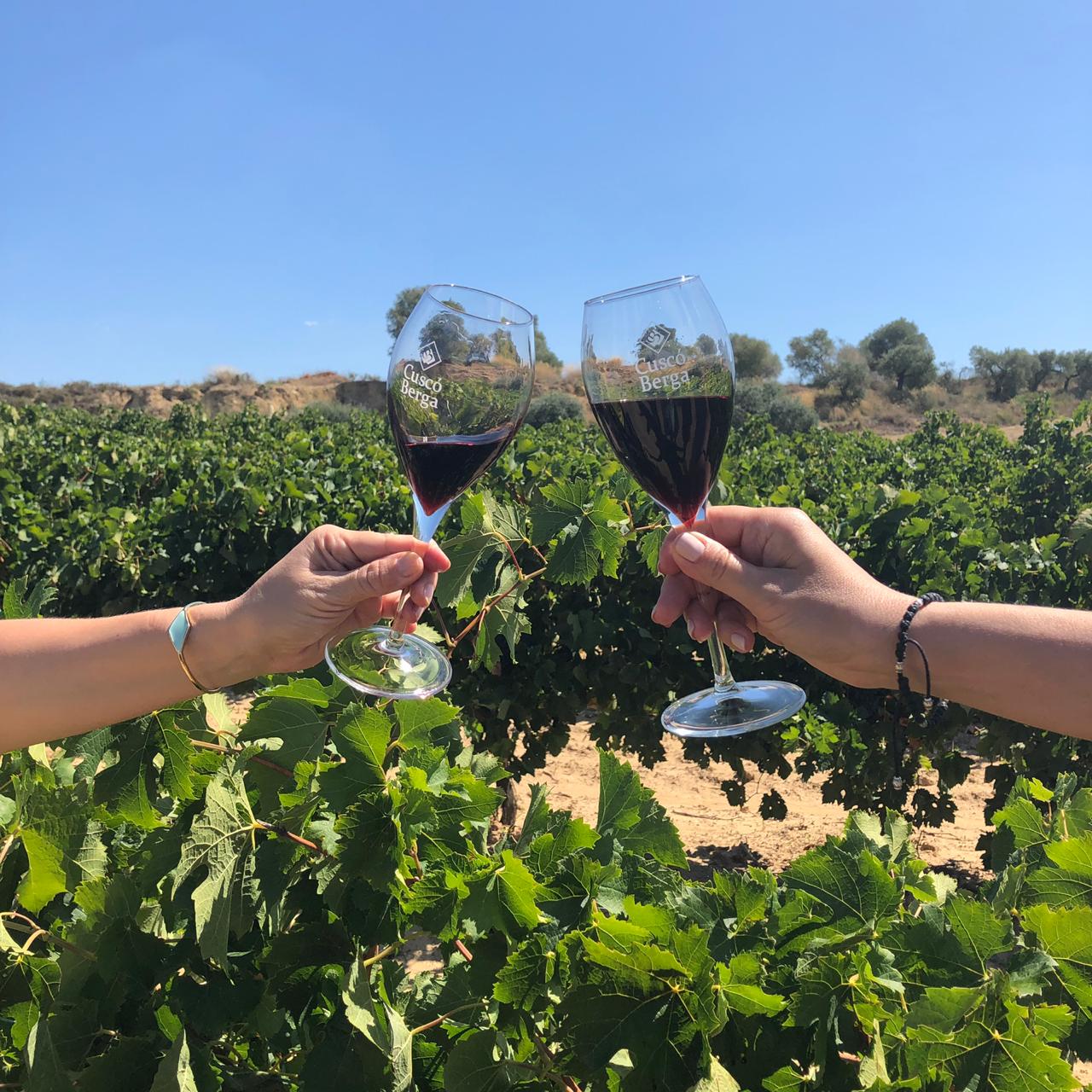 Toast with red wine over a sunlit Penedès vineyard