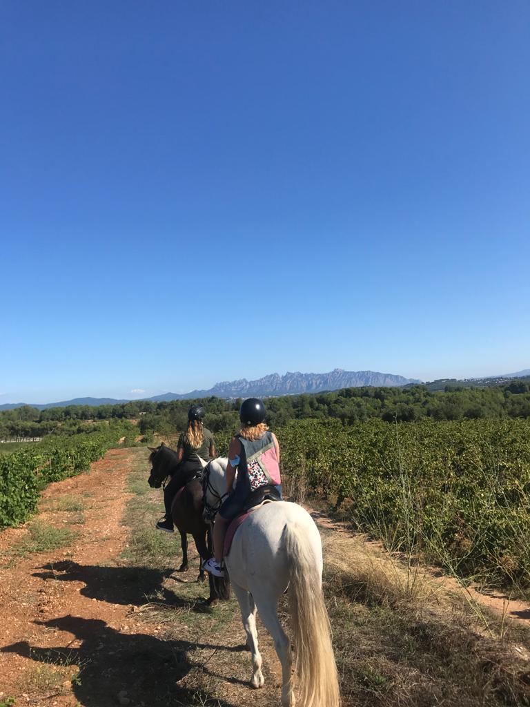 Horseback ride through the vineyards toward Montserrat