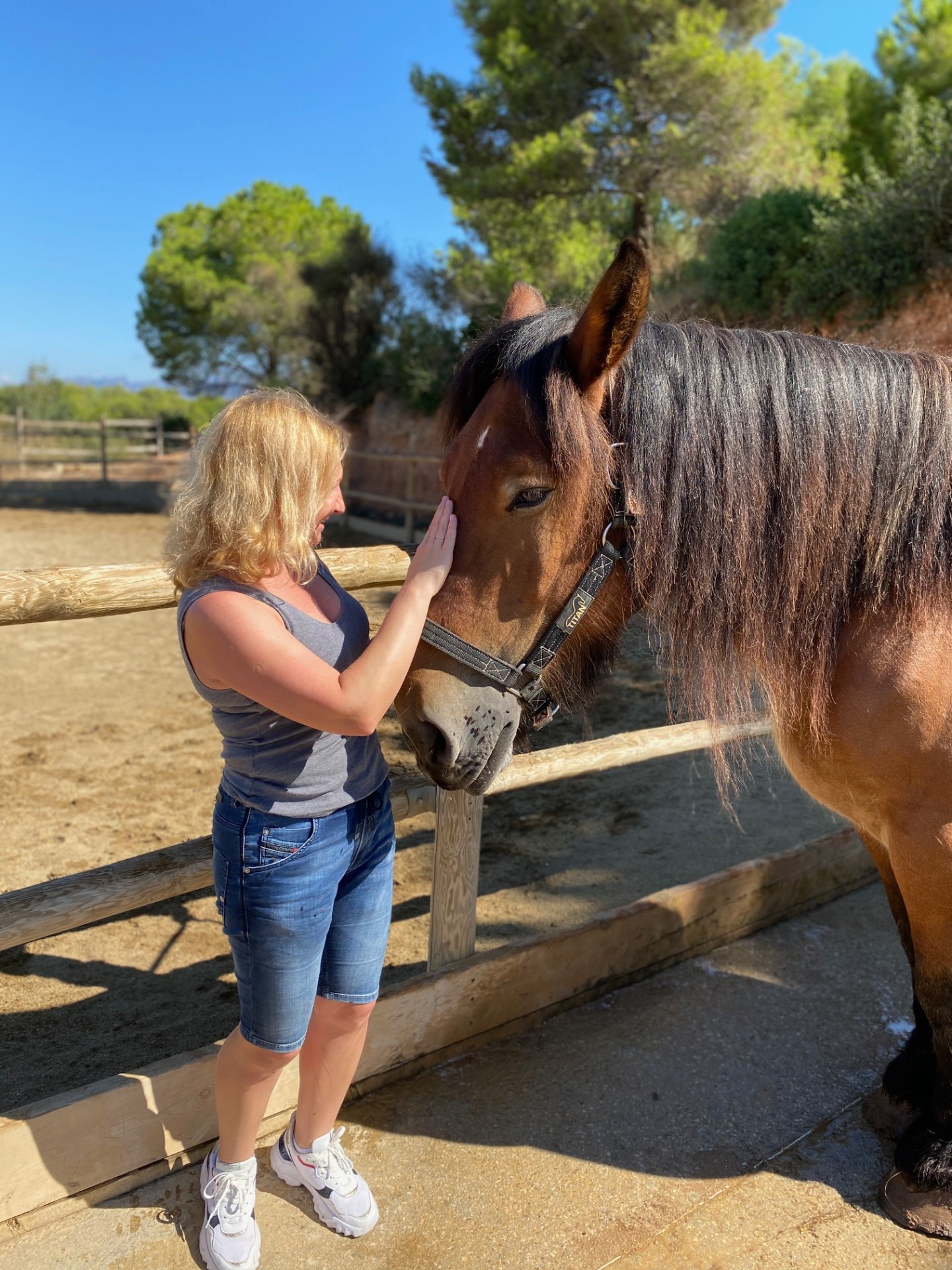 Meeting a horse at a Penedès equestrian estate