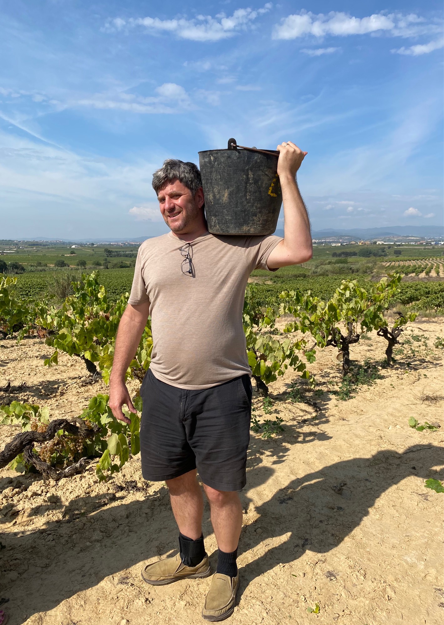 Winemaker carrying a harvest bucket through the vineyard