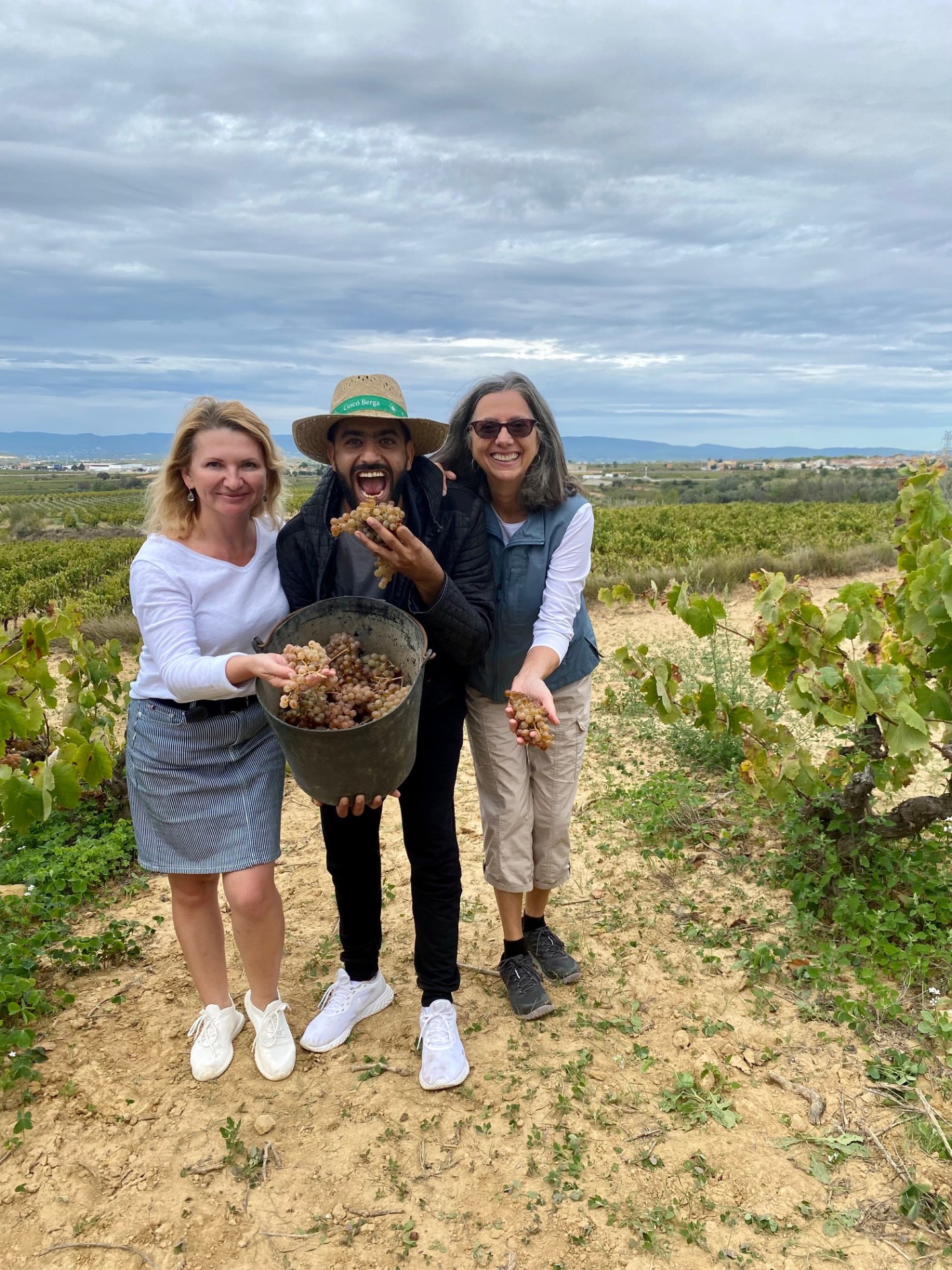 Cheerful harvest moment with a bucket of just-picked grapes