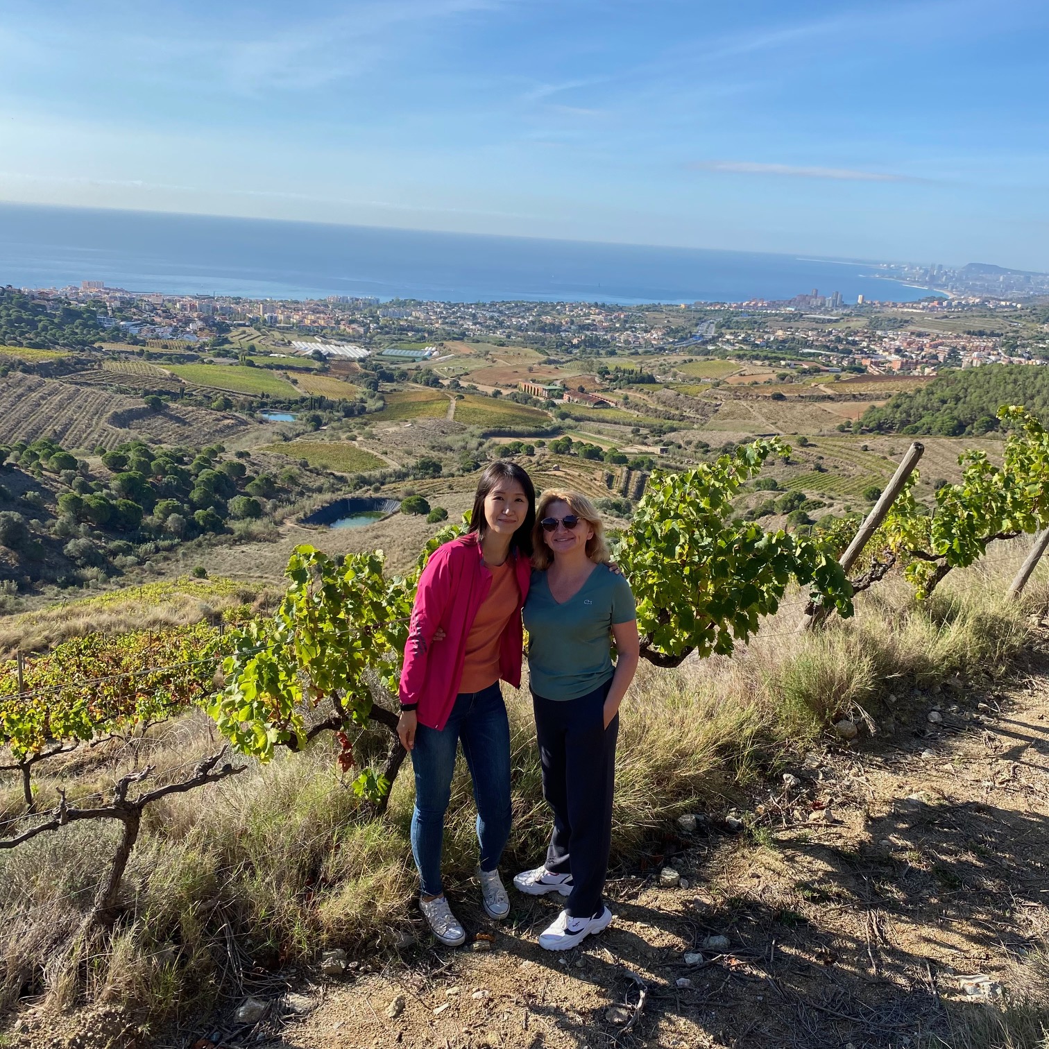 Hillside vineyard with sweeping views to the Mediterranean