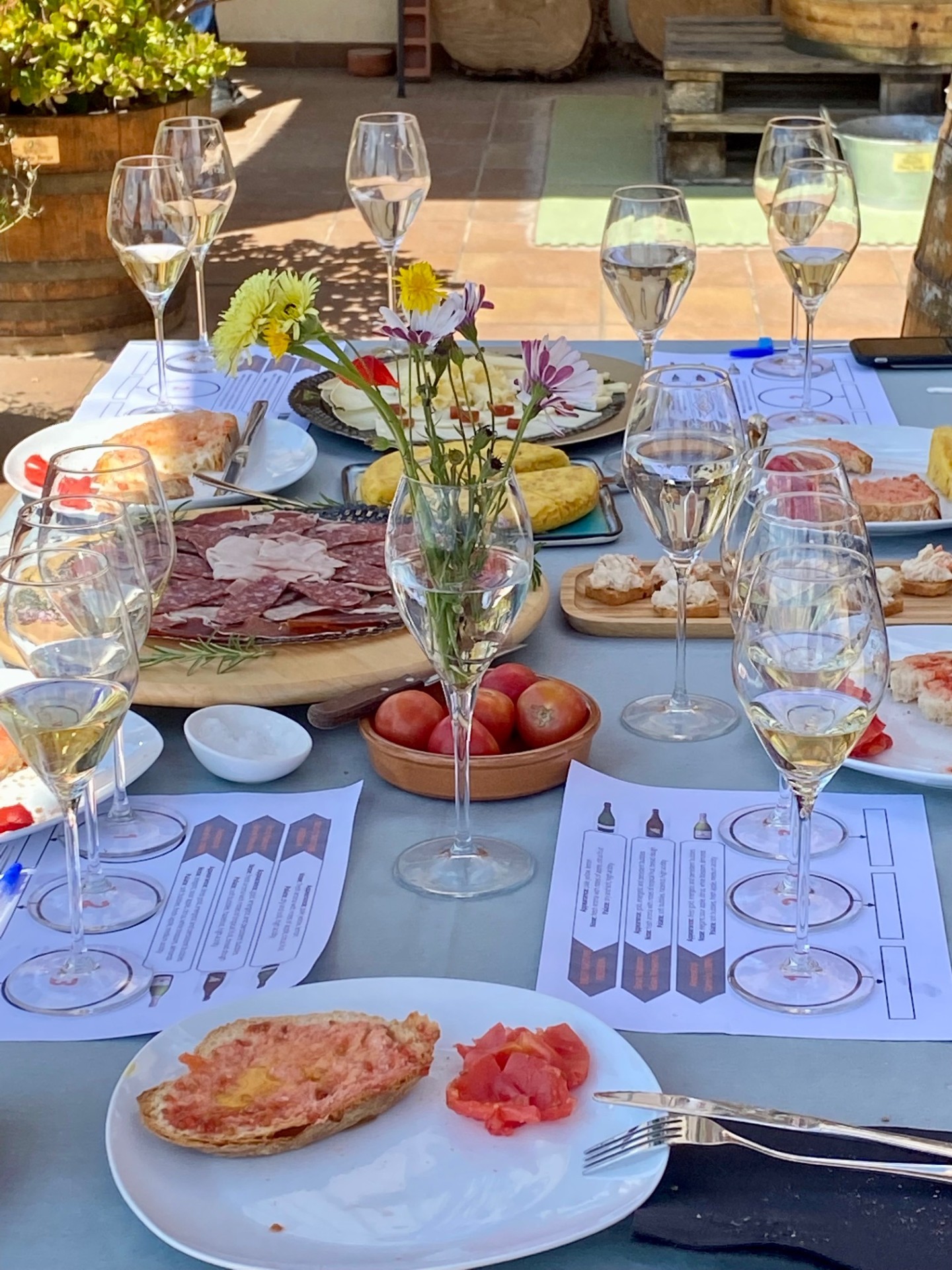 Sunlit tasting table with cava, charcuterie and Catalan tapas